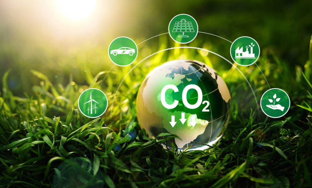 Illustration of grass with a globe reading CO2 and surrounding icons for sustainability.
