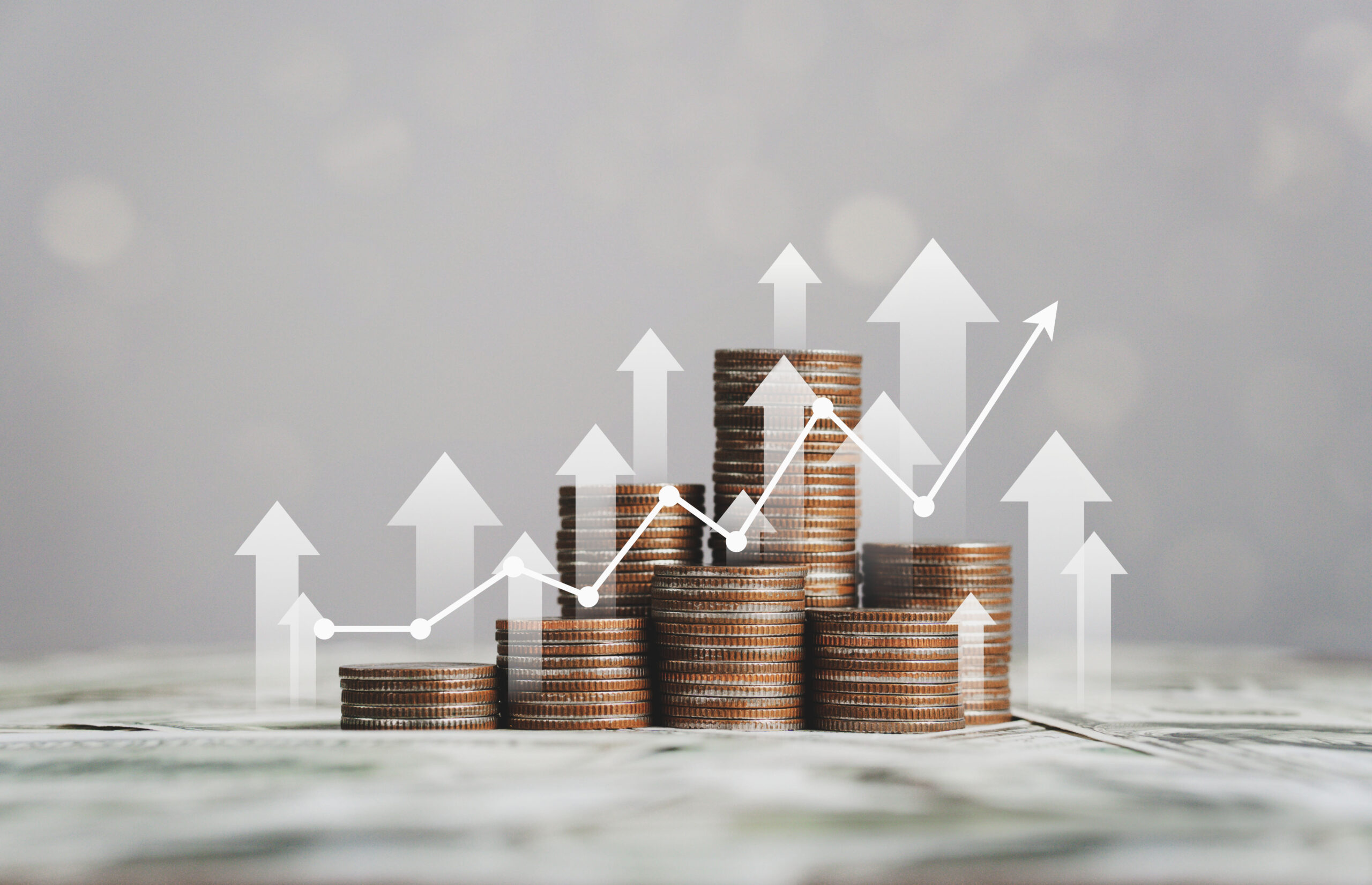 net zero investment