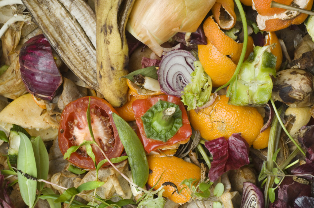 10-Step Food Waste Reduction Toolkit - Net Zero Action Accelerator