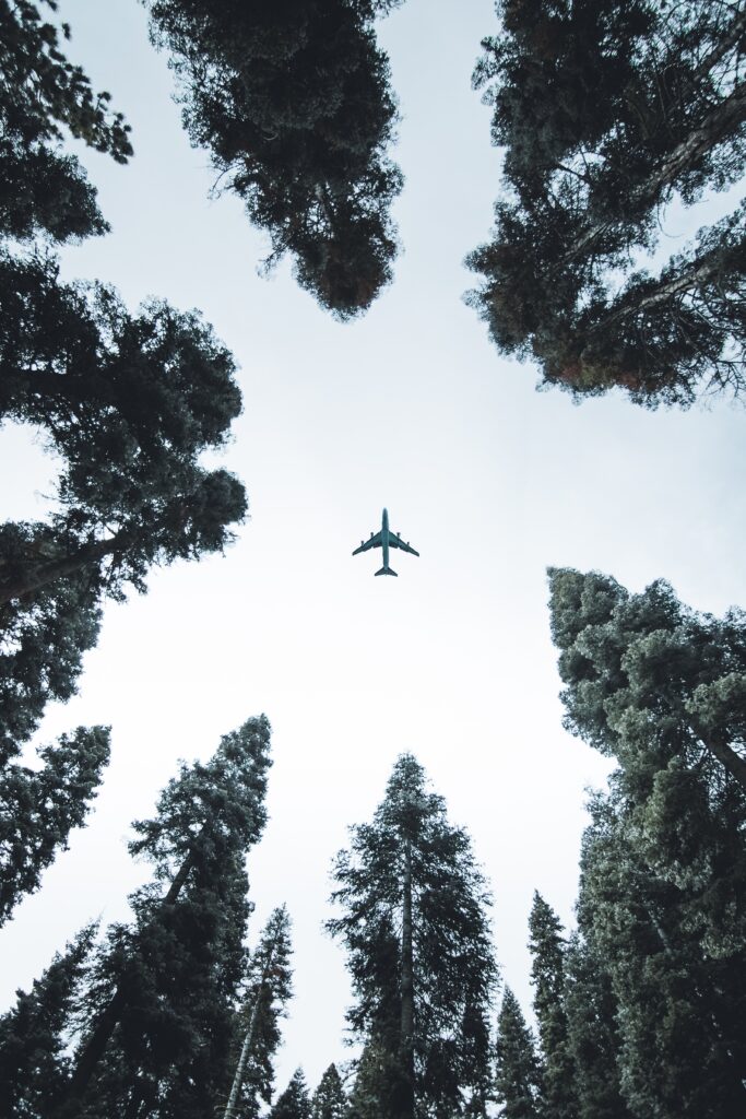 View from the forest floor of a plane flying up high in the sky surrounded by trees.