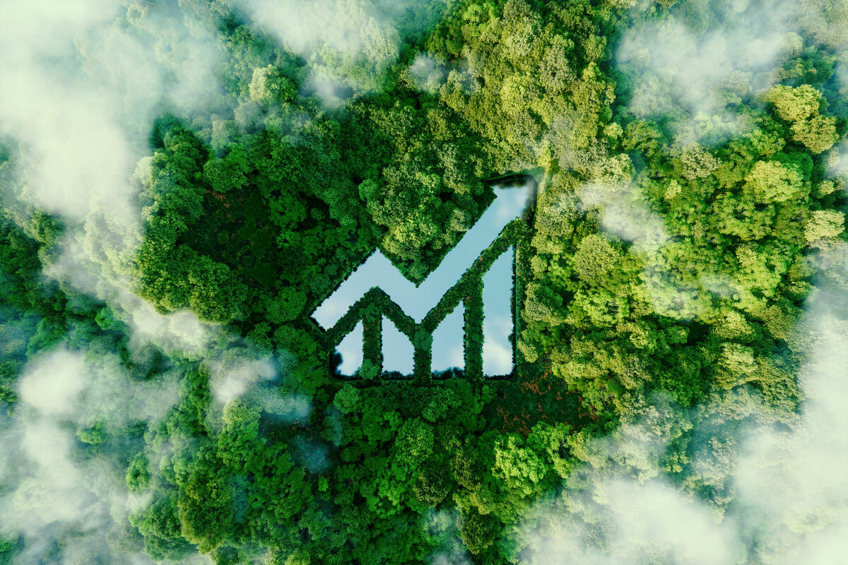 nature positive strategy for business